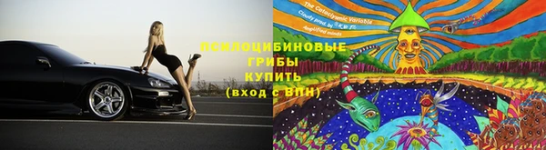 спиды Зерноград