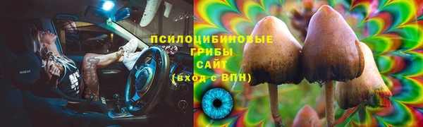спиды Зерноград
