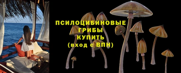 спиды Зерноград