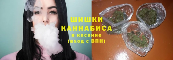 мдпв Зеленодольск