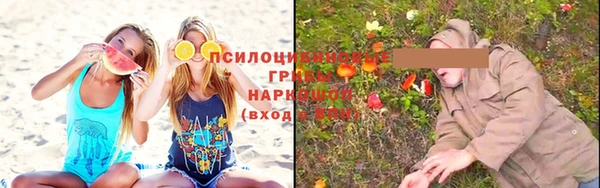 мдпв Зеленодольск
